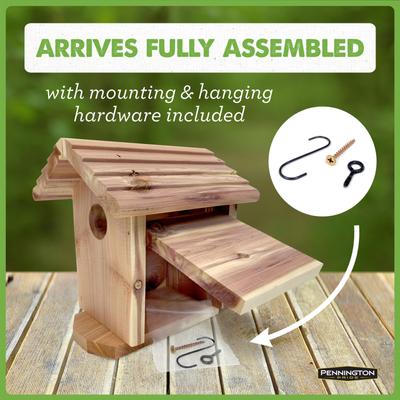 Show full view: Pennington Pride Cedar Bird House slide 5 of 10