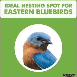 Pennington Pride Cedar Predator Guard Bird House