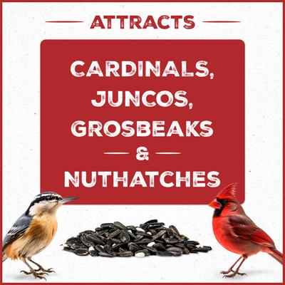 Show full view: Pennington Pride Red Bird Blend Bird Food, 10-lb bag slide 3 of 8