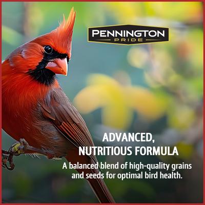 Show full view: Pennington Pride Red Bird Blend Bird Food, 10-lb bag slide 4 of 8