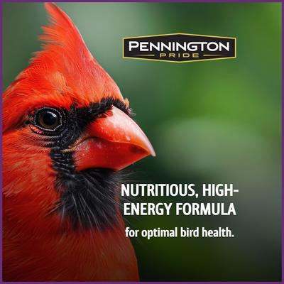 Show full view: Pennington Pride Songbird Nut & Fruit Blend Bird Food, 10-lb bag slide 4 of 9