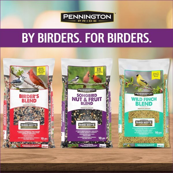 Pennington Pride Songbird Nut & Fruit Blend Bird Food, 10-lb bag