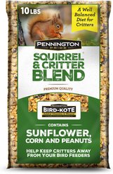 Pennington Pride Squirrel & Critter Bird Food Blend, 10-lb bag