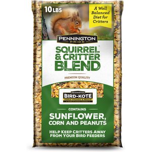 Pennington Pride Squirrel & Critter Bird Food Blend, 10-lb bag