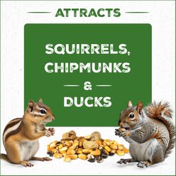 Pennington Pride Squirrel & Critter Bird Food Blend, 10-lb bag slide 2 of 9