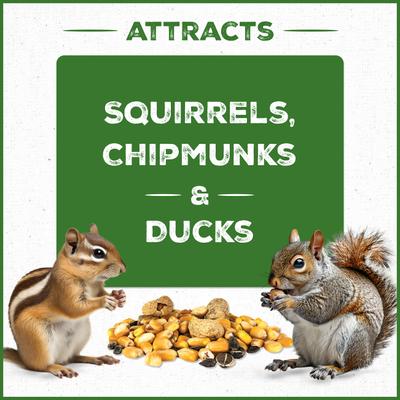 Show full view: Pennington Pride Squirrel & Critter Bird Food Blend, 10-lb bag slide 4 of 9