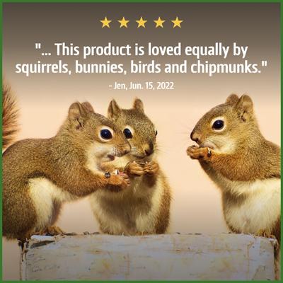 Show full view: Pennington Pride Squirrel & Critter Bird Food Blend, 10-lb bag slide 9 of 9