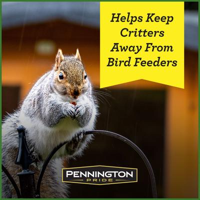 Show full view: Pennington Pride Squirrel & Critter Bird Food Blend, 10-lb bag slide 3 of 9