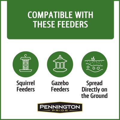 Show full view: Pennington Pride Squirrel & Critter Bird Food Blend, 10-lb bag slide 6 of 9