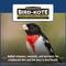 Show in main carousel: Pennington Pride Waste Free Blend Bird Food, 10-lb bag slide 4 of 8