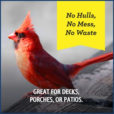 Show full view: Pennington Pride Waste Free Blend Bird Food, 10-lb bag slide 6 of 8