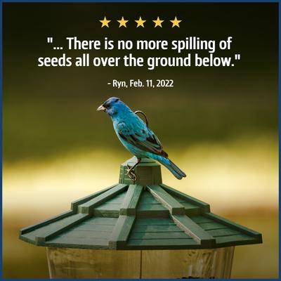 Show full view: Pennington Pride Waste Free Blend Bird Food, 10-lb bag slide 7 of 8