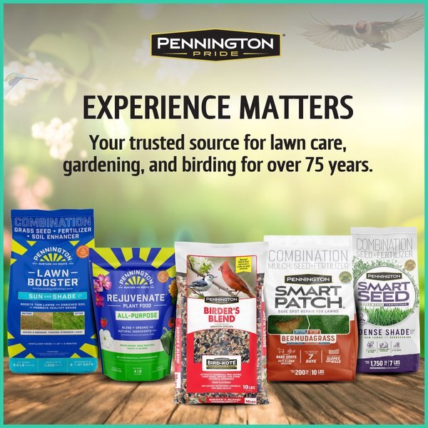 Pennington Pride Wild Finch Blend Bird Food, 10-lb bag