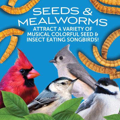 Show full view: Pennington Select Birder's Blend Seed & Mealworm Mix Wild Bird Food, 40-lb bag slide 8 of 10