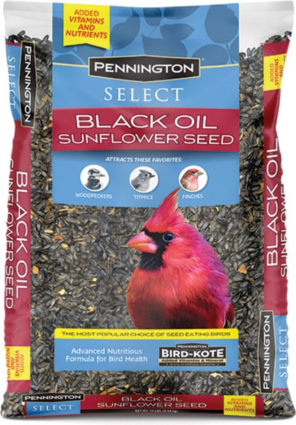 Show full view: Pennington Select Black Oil Sunflower Seed Wild Bird Food, 10-lb bag slide 1 of 11