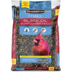 Pennington Select Black Oil Sunflower Seed Wild Bird Food, 10-lb bag