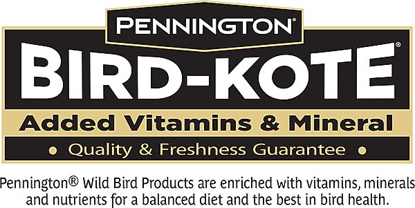Show full view: Pennington Select Black Oil Sunflower Seed Wild Bird Food, 10-lb bag slide 6 of 11