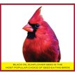 Show in main carousel: Pennington Select Black Oil Sunflower Seed Wild Bird Food, 10-lb bag slide 2 of 11