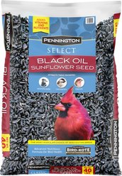 Pennington Select Black Oil Sunflower Seed Wild Bird Food, 40-lb bag