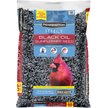 Show in main carousel: Pennington Select Black Oil Sunflower Seed Wild Bird Food, 40-lb bag slide 1 of 12