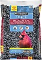 Pennington Select Black Oil Sunflower Seed Wild Bird Food, 40-lb bag