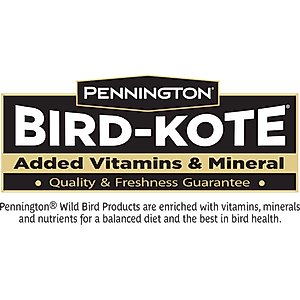 Pennington Select Black Oil Sunflower Seed Wild Bird Food, 40-lb bag