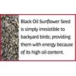 Show in main carousel: Pennington Select Black Oil Sunflower Seed Wild Bird Food, 40-lb bag slide 5 of 12