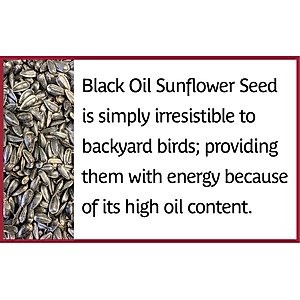 Pennington Select Black Oil Sunflower Seed Wild Bird Food, 40-lb bag