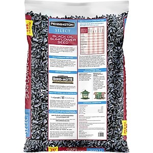 Pennington Select Black Oil Sunflower Seed Wild Bird Food, 40-lb bag