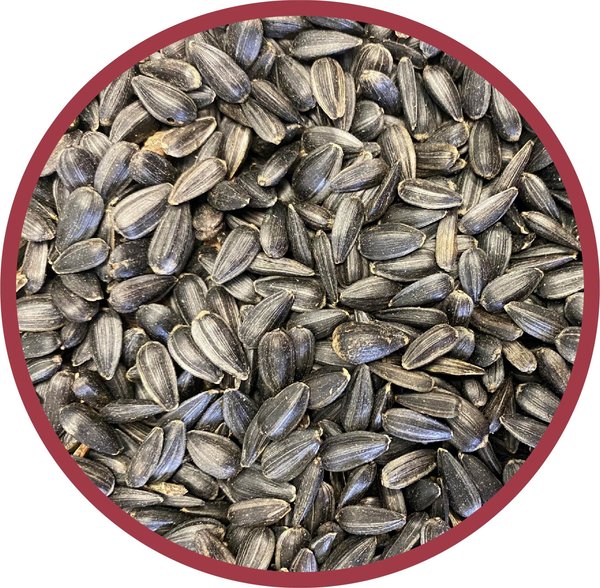Show full view: Pennington Select Black Oil Sunflower Seed Wild Bird Food, 40-lb bag slide 3 of 12