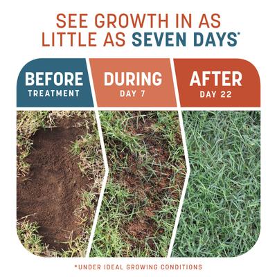 Show full view: Pennington Smart Patch Bermudagrass Mix Dog Lawn-Treatment & Grass Saver, 5-lb jug slide 3 of 11