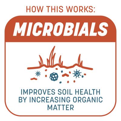 Show full view: Pennington Smart Patch Bermudagrass Mix Dog Lawn-Treatment & Grass Saver, 5-lb jug slide 4 of 11