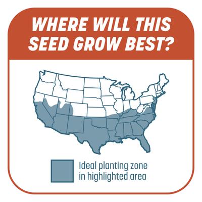 Show full view: Pennington Smart Patch Bermudagrass Mix Dog Lawn-Treatment & Grass Saver, 5-lb jug slide 7 of 11