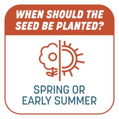 Show full view: Pennington Smart Patch Bermudagrass Mix Dog Lawn-Treatment & Grass Saver, 5-lb jug slide 8 of 11