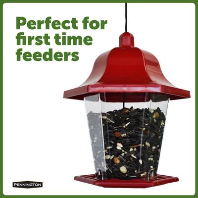 Show full view: Pennington Songbird Lantern Bird Feeder slide 3 of 9