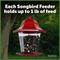 Show in main carousel: Pennington Songbird Lantern Bird Feeder slide 8 of 9