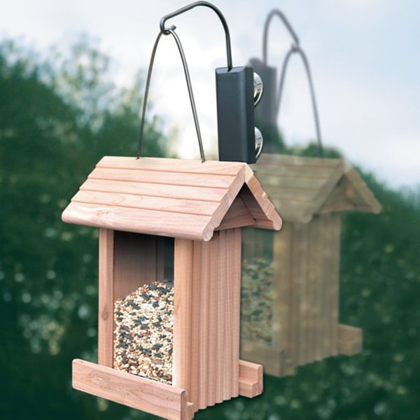 Pennington Hook Bird Feeder