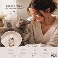 Penthouse Paws Fancy Cat Pendant Jewelry Necklace for Cat Moms, Silver, 12.9 to 22.3-mm slide 2 of 2
