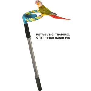 PerchPal Bird Training Perch