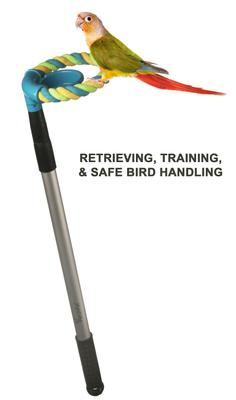 Show full view: PerchPal Bird Training Perch slide 1 of 8