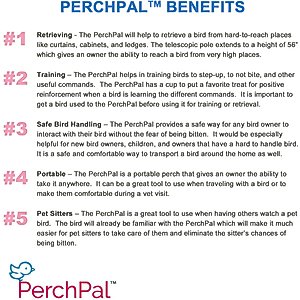 PerchPal Bird Training Perch