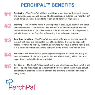 Show full view: PerchPal Bird Training Perch slide 6 of 8