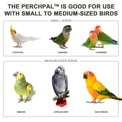 Show full view: PerchPal Bird Training Perch slide 4 of 8