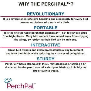 PerchPal Bird Training Perch