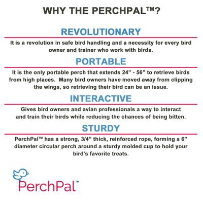 Show full view: PerchPal Bird Training Perch slide 5 of 8