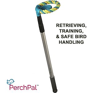 PerchPal Bird Training Perch