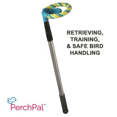 Show full view: PerchPal Bird Training Perch slide 2 of 8