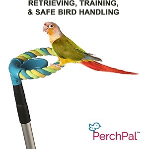 PerchPal Bird Training Perch