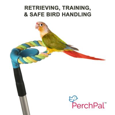 Show full view: PerchPal Bird Training Perch slide 8 of 8