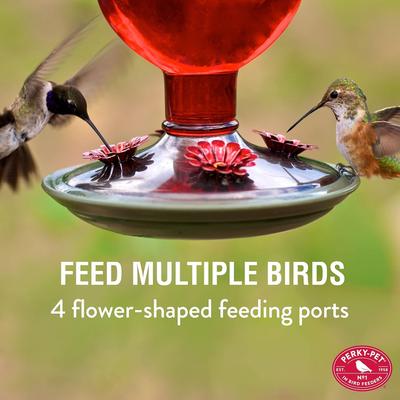 Show full view: Perky-Pet Antique Bottle Hummingbird Feeder, Red slide 9 of 10